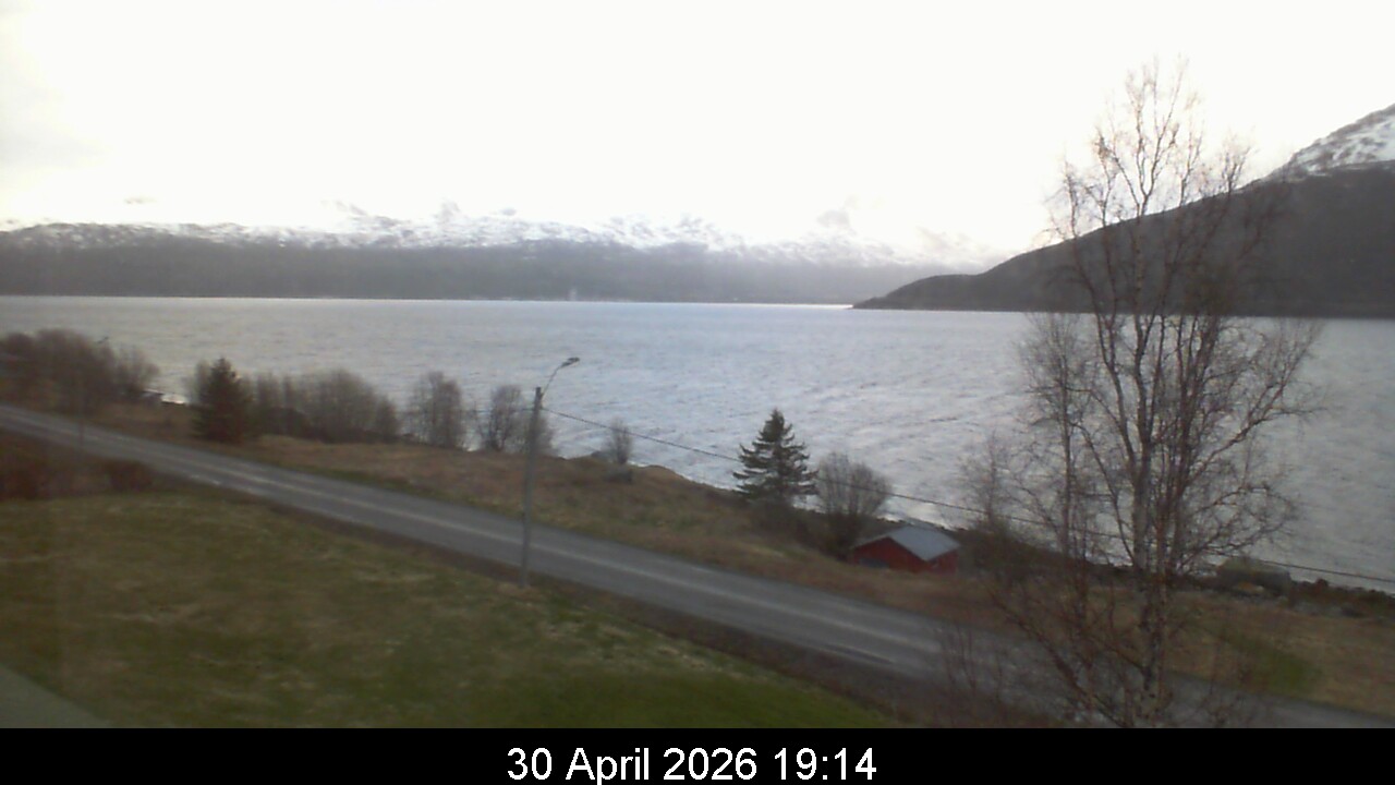 Webcam Rasteby, Storfjord, Troms, Norwegen