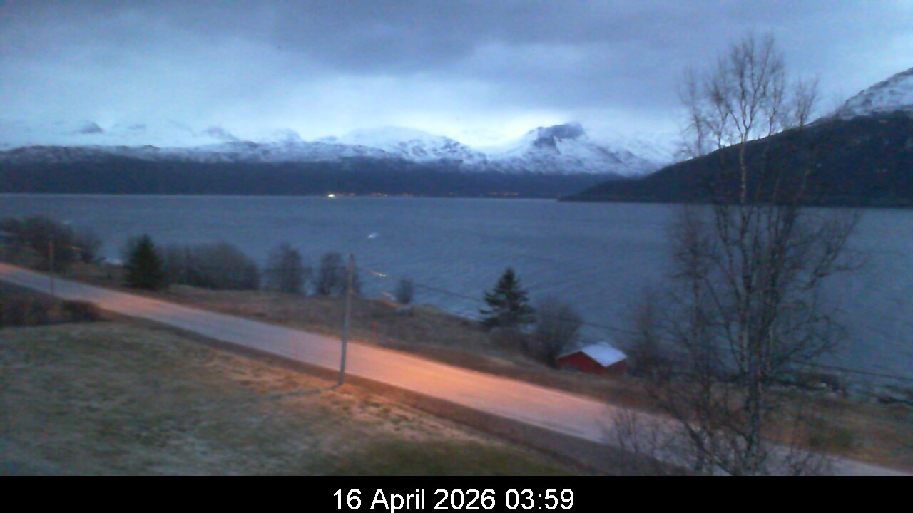 Webcam Image 4