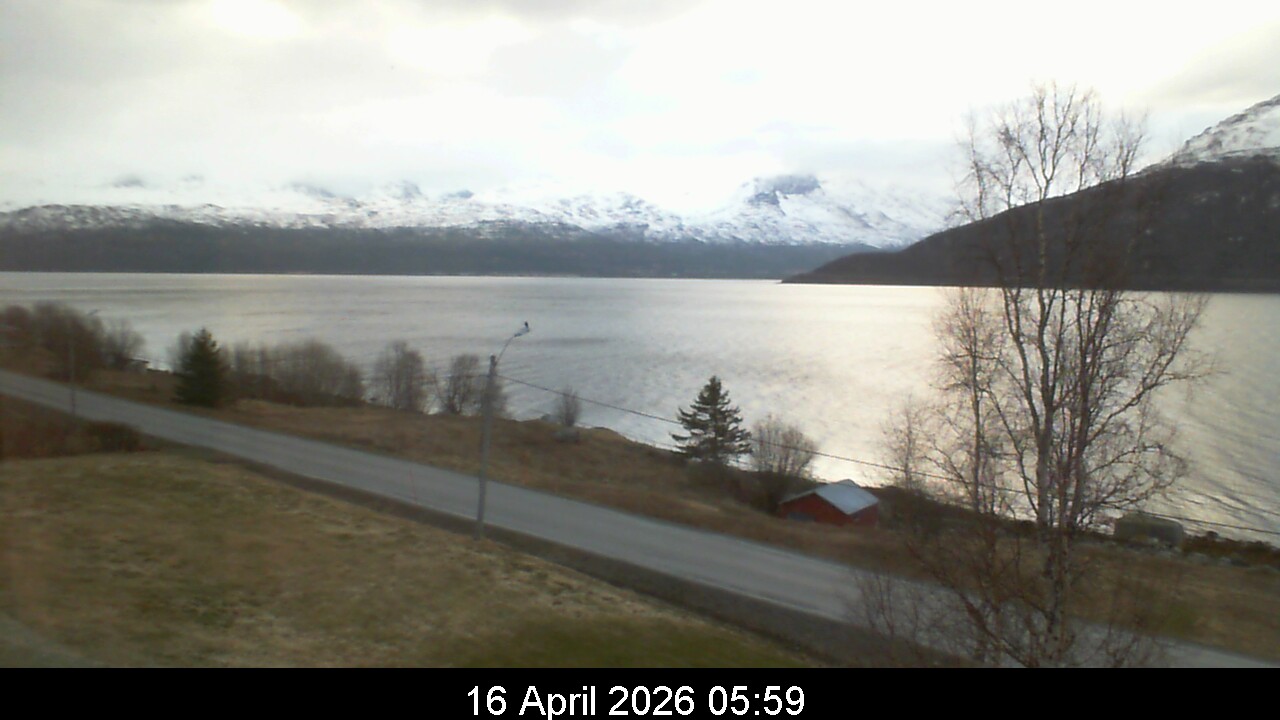 Webcam Image 6