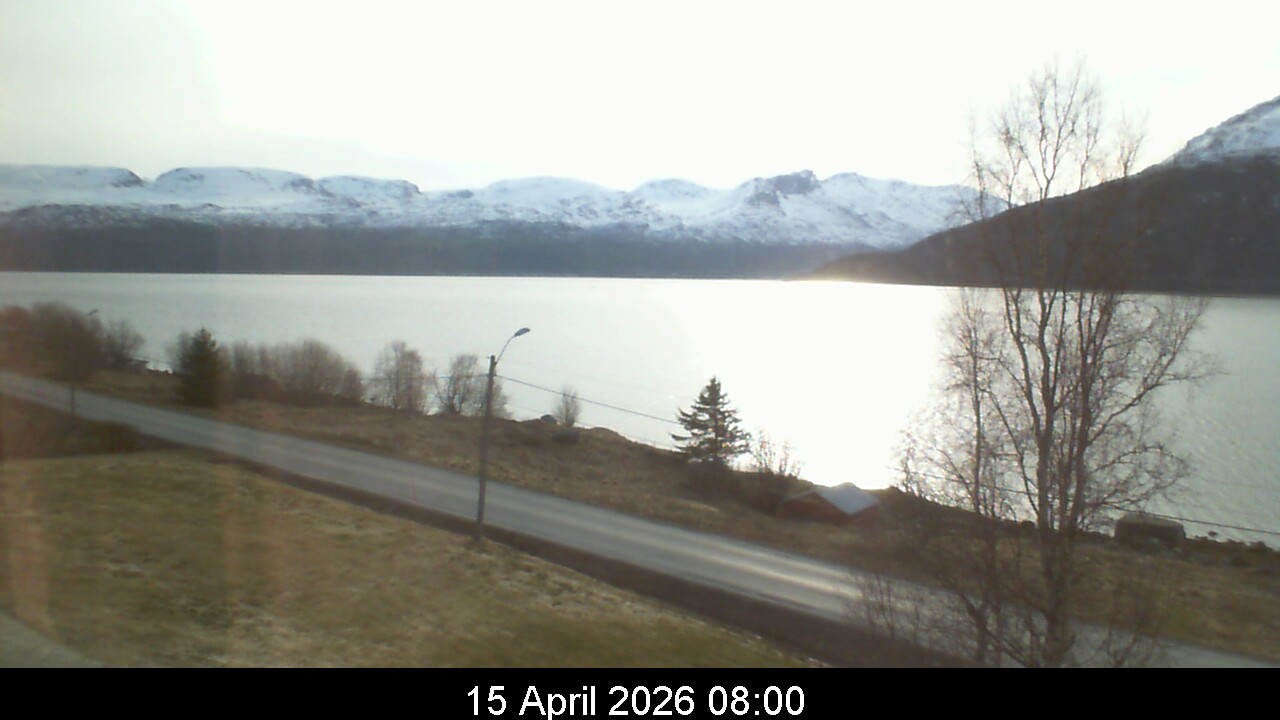 Webcam Image 8