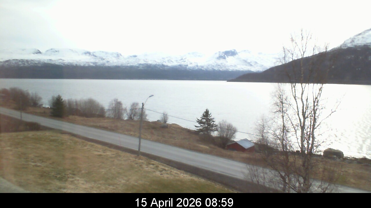 Webcam Image 9