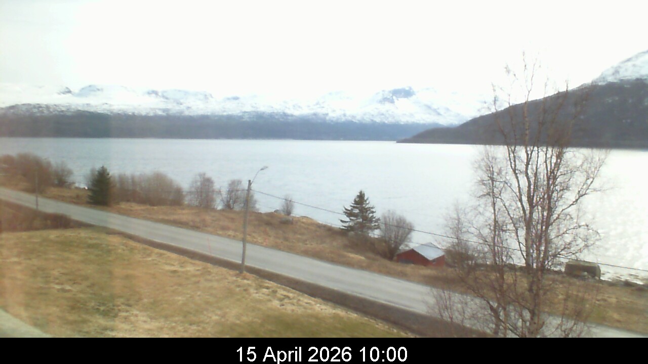 Webcam Image 10