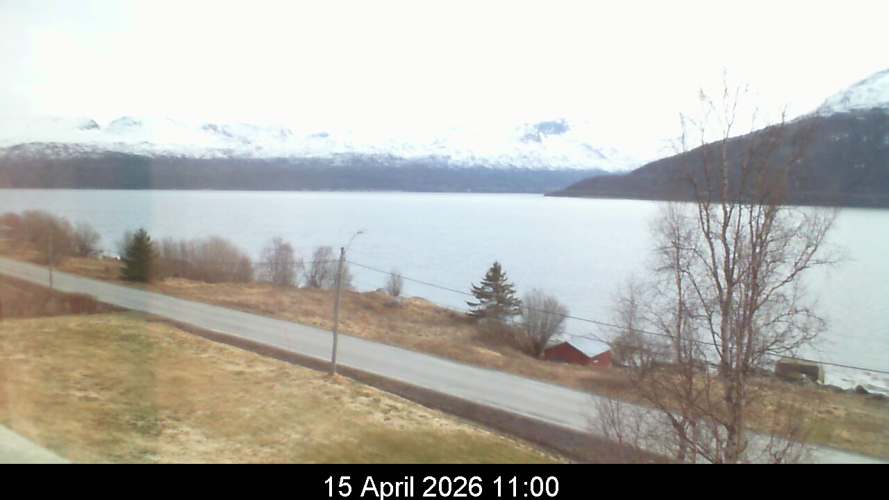 Webcam Image 11