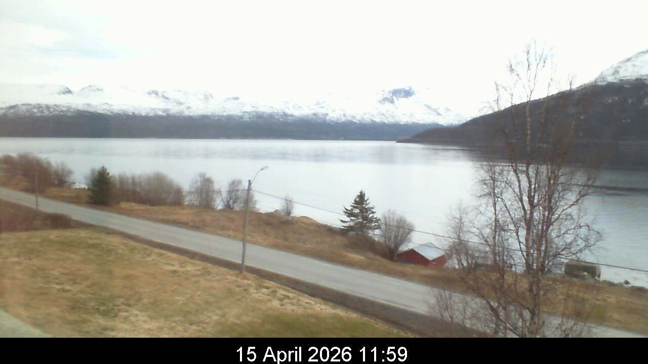 Webcam Image 12