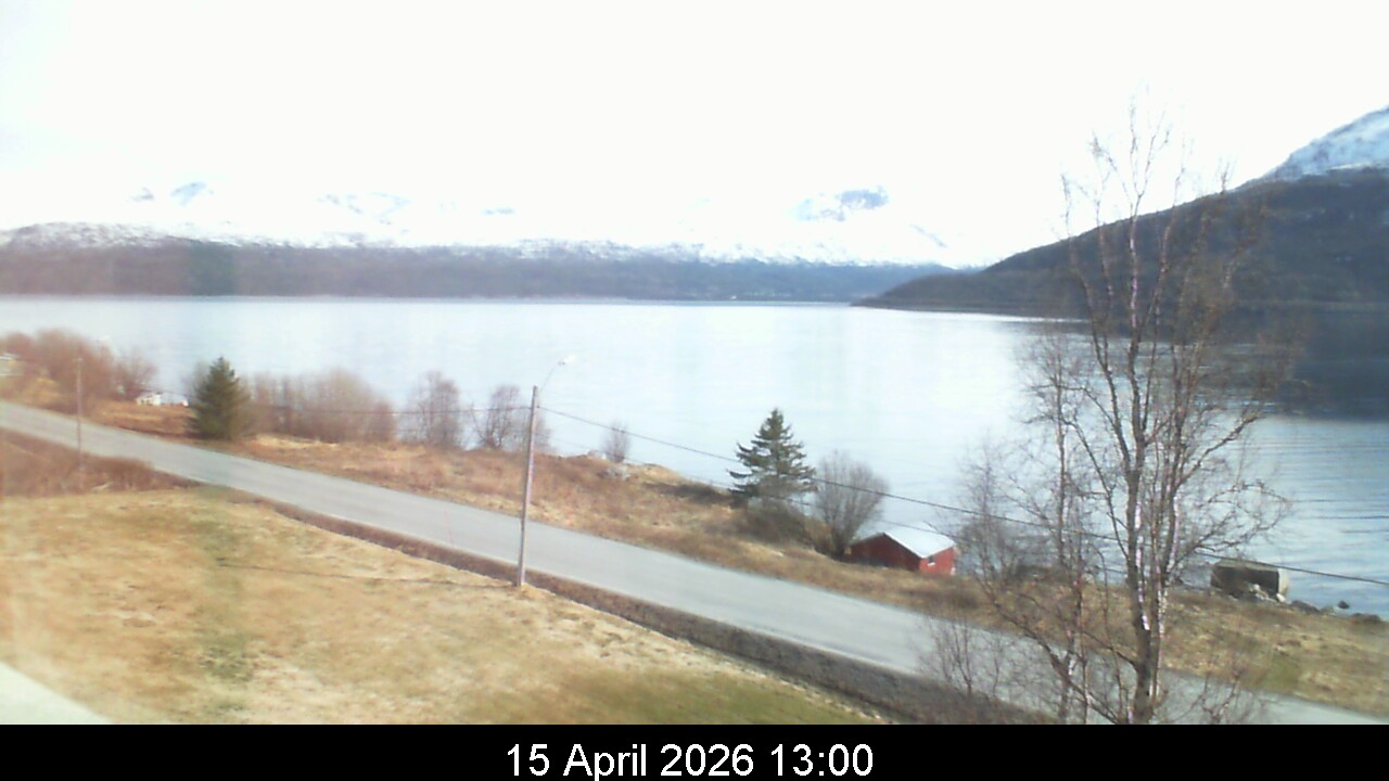 Webcam Image 13