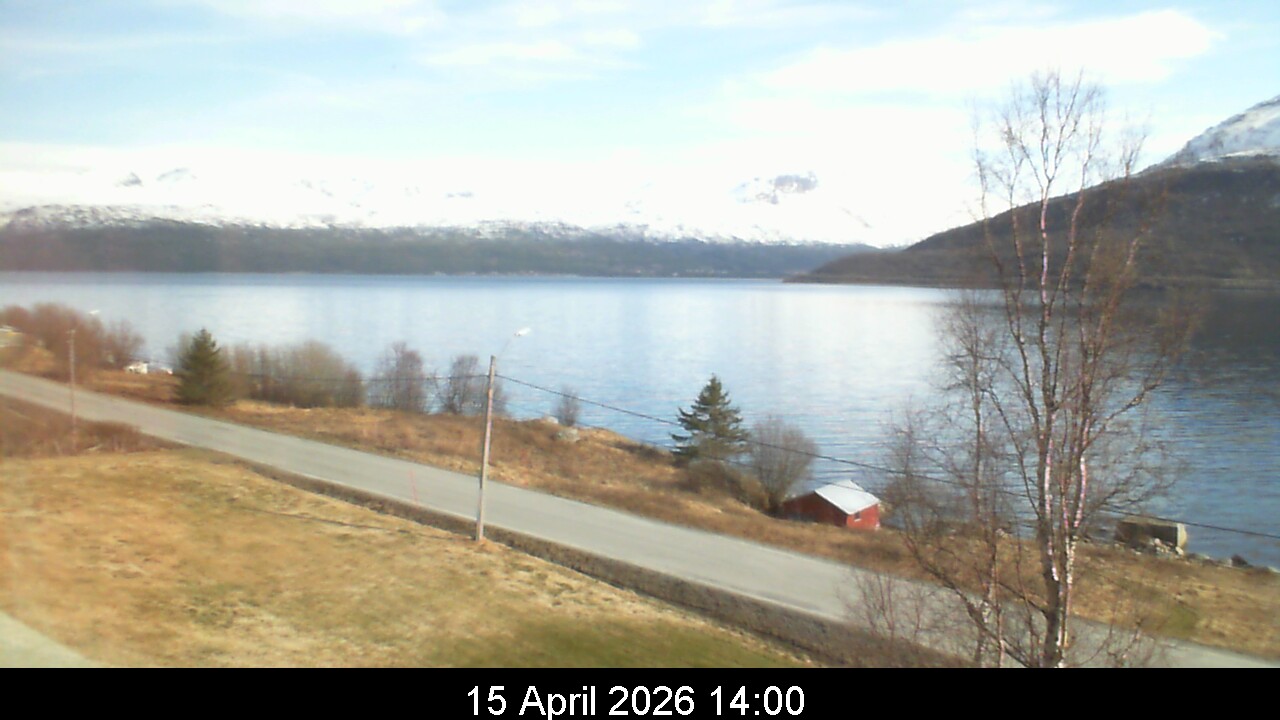 Webcam Image 14