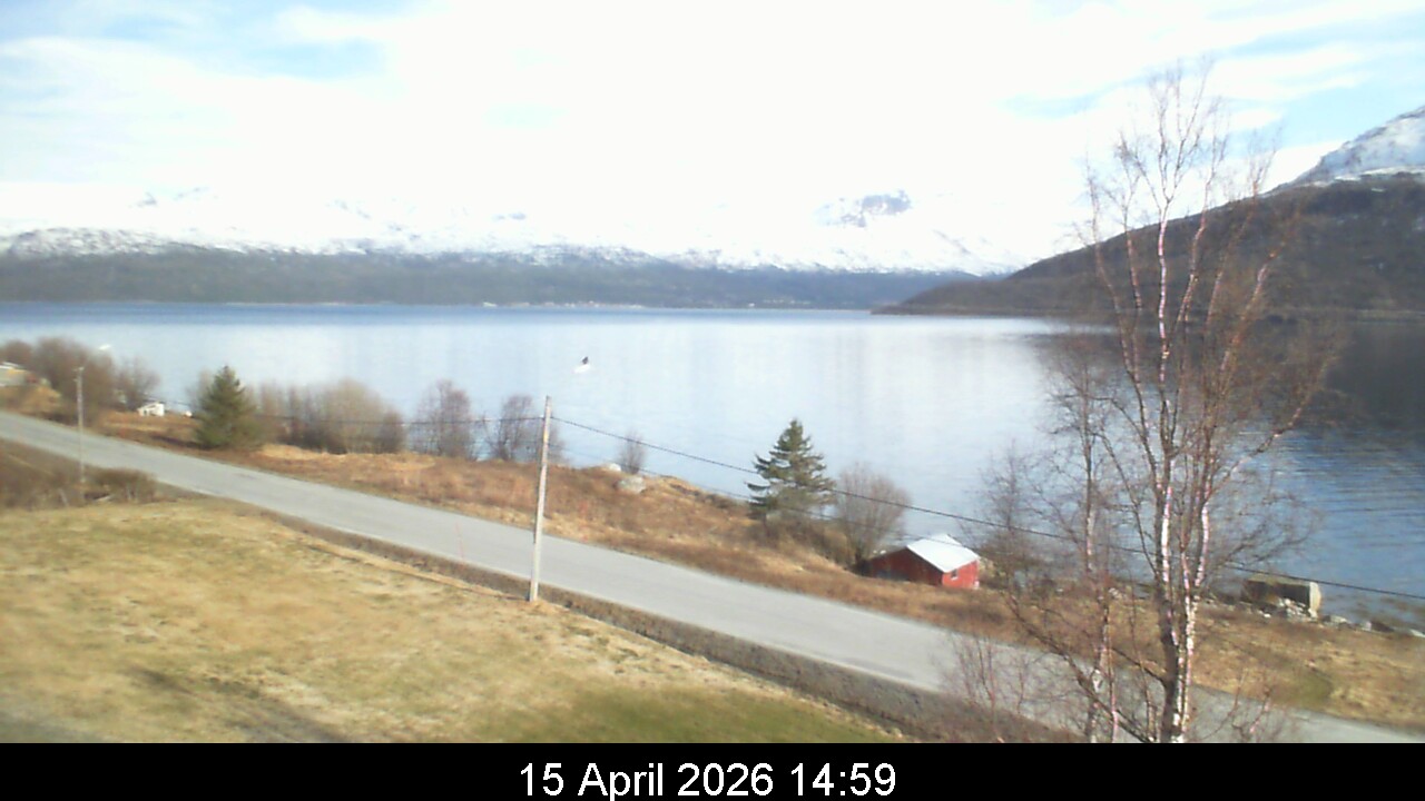 Webcam Image 15