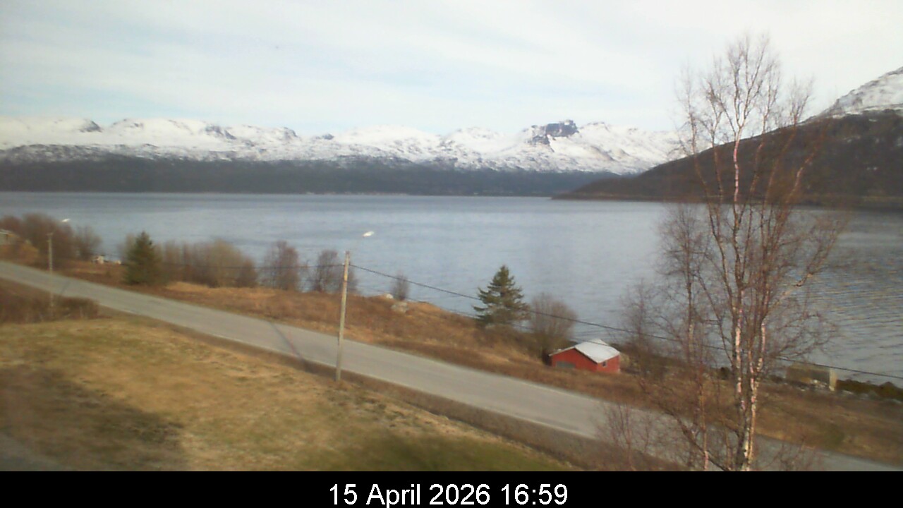 Webcam Image 17