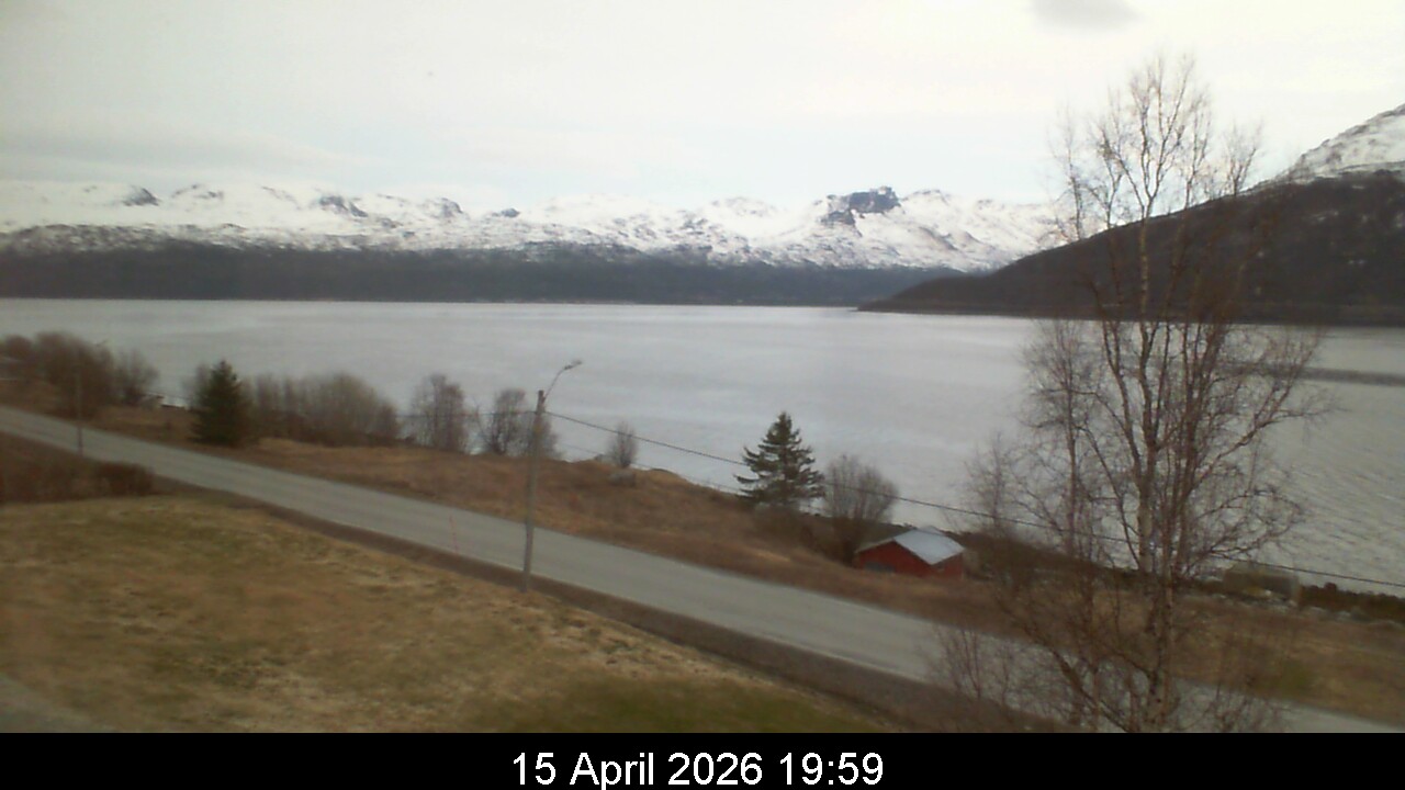 Webcam Image 20