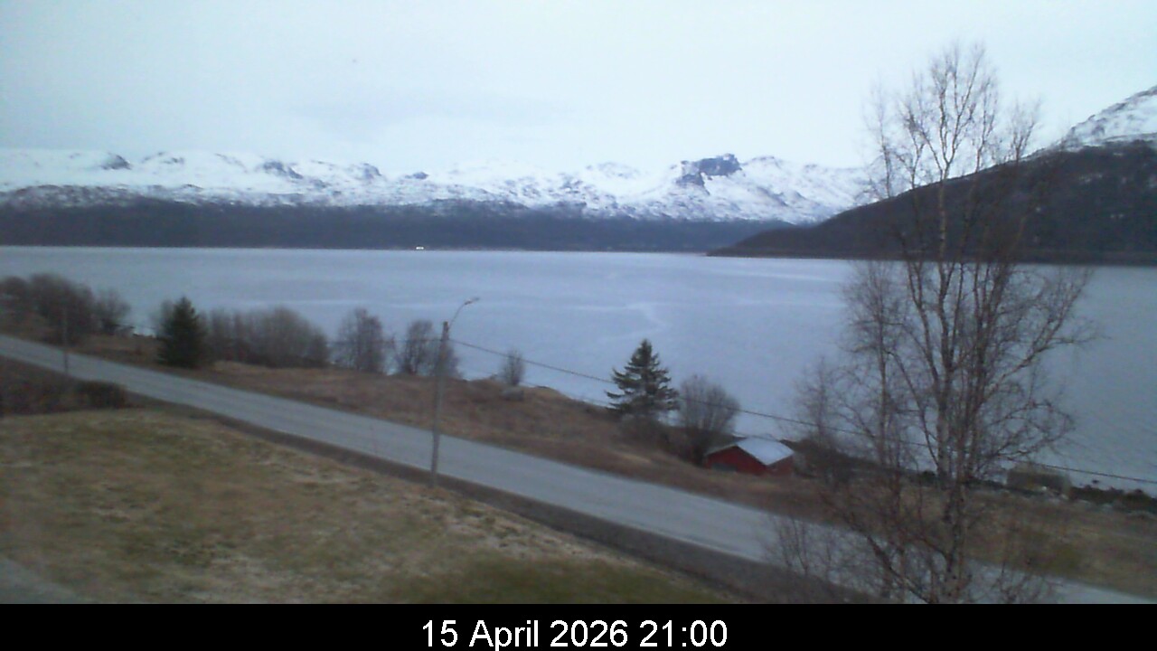 Webcam Image 21
